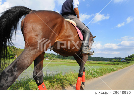 田舎道を行く乗馬のイメージ 29648950