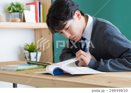 勉強する受験生 29649650