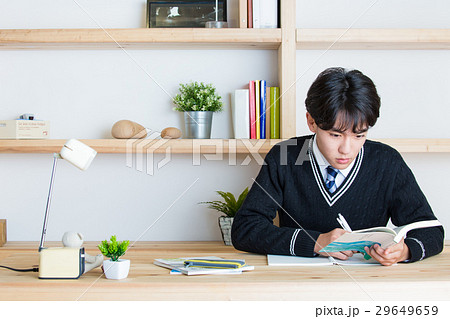 勉強する受験生 勉強する受験生 29649659
