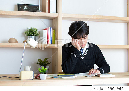 勉強する受験生 29649664