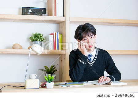 勉強する受験生 29649666