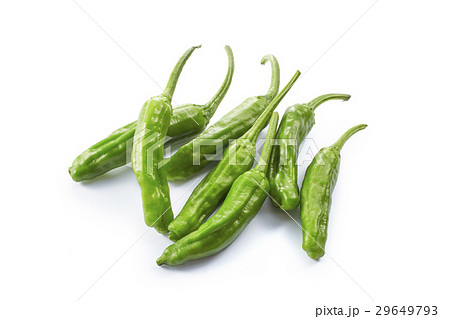 ししとう 29649793