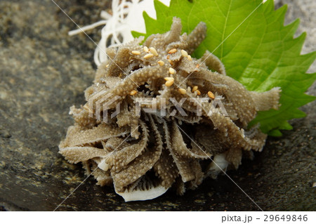 ホルモン センマイ 29649846