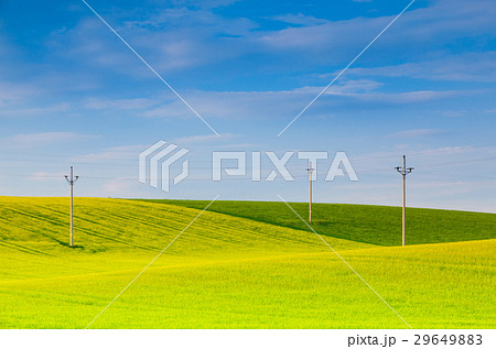 Wooden power poles  on the empty  field 29649883