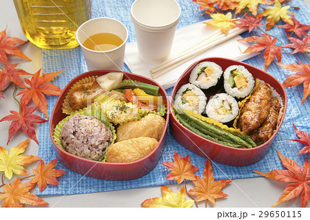 紅葉とピクニック弁当 29650115
