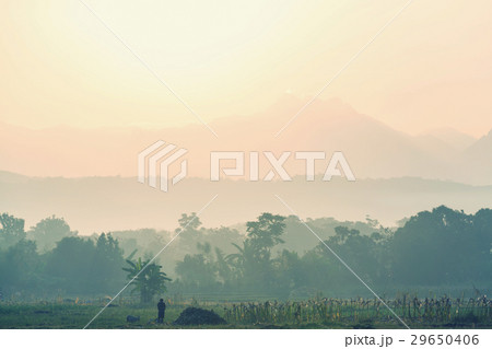Northern Thailand 29650406