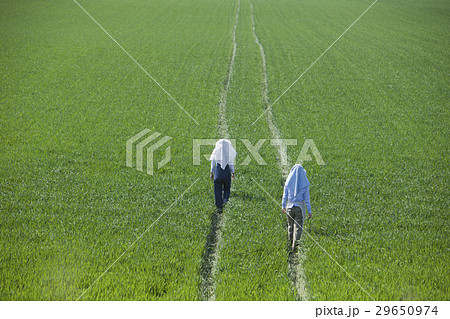 農家の女性 29650974