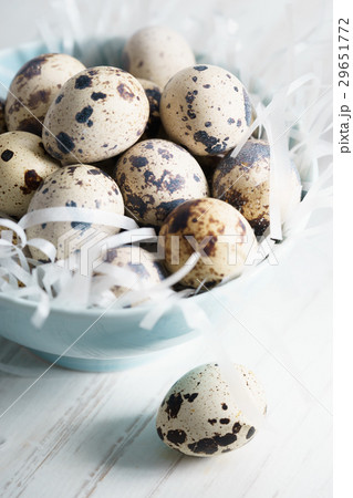 Quail eggs Quail eggs 29651772