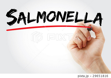 Hand writing Salmonella with marker 29651816