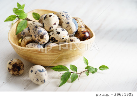 Quail eggs Quail eggs 29651905
