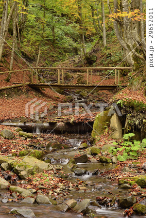 Autumn landscape with river, Carpathian mountains 29652011