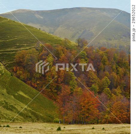 Ukraine Carpathian Mountains Ukraine Carpathian Mountains 29652012