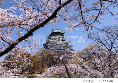 春　大阪城 29656081