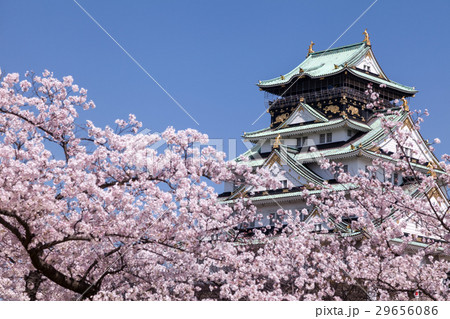 春　大阪城 29656086