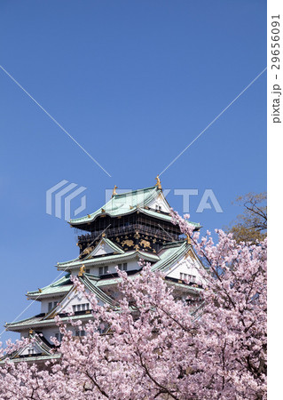 春　大阪城 29656091