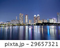 Tokyo Odaiba Skyline 29657321