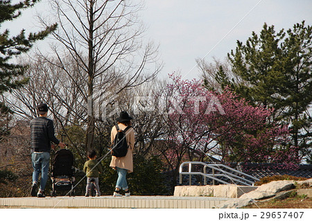 公園を散歩する家族 29657407