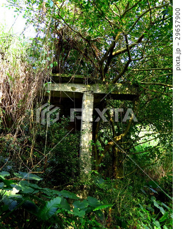 遺跡 廃墟 跡 29657900