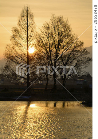 曽根沼の夕景 曽根沼の夕景 29658438