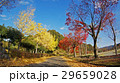 Autumn landscape at Shinshiro Park, Nagoya Japan 29659028