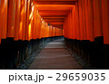 Torii gates at Fushimi Inari Shrine in Kyoto 29659035