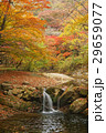 Beautiful autumn scenery with waterfall in forest. 29659077