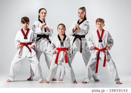 The studio shot of group of kids training karate The studio shot of group of kids training karate 29659143