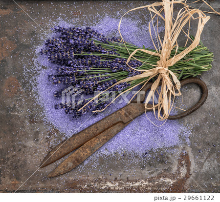 Lavender flowers over rustic metal background.  Lavender flowers over rustic metal background.  29661122