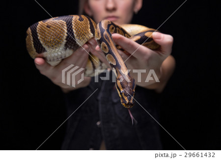 Young woman showing snake Young woman showing snake 29661432