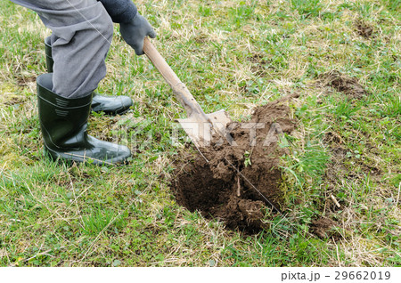 Man digs the ground. Man digs the ground. 29662019