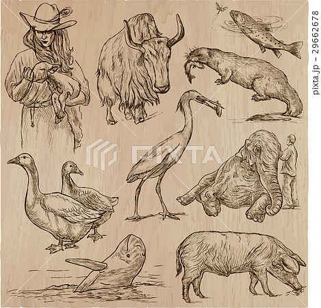 Animals around the World - hand drawn vector pack. 29662678