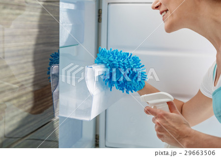 Smiling housewife making refrigerator clean 29663506