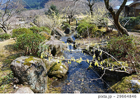 熊野古道　伊勢路　馬越峠　種まき権兵衛の里 29664846