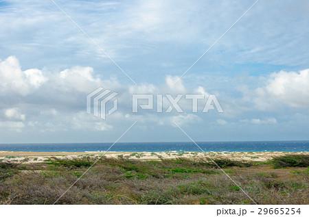 Panorama view of the turquoise Caribbean sea Panorama view of the turquoise Caribbean sea 29665254