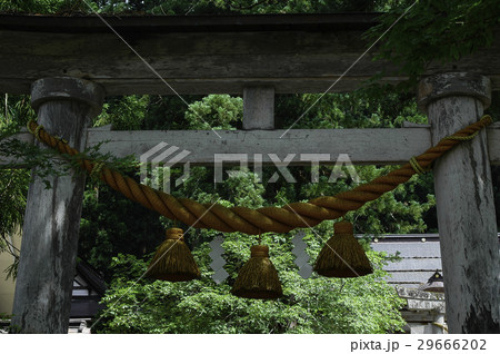 岐阜県白川村 神社 鳥居 岐阜県白川村 神社 鳥居 29666202