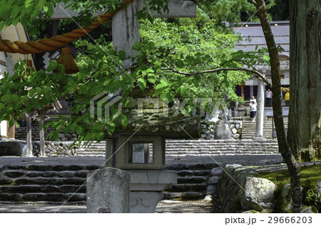 岐阜県白川村　神社　鳥居 29666203