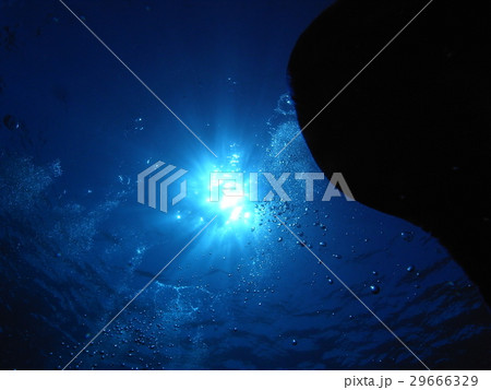 青い海 29666329