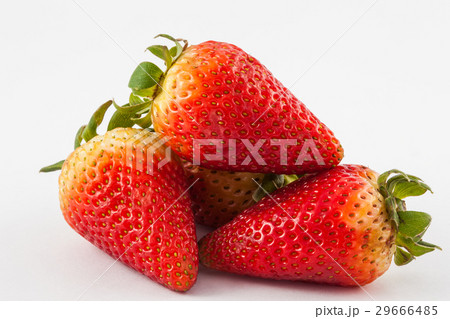 Strawberry (Fragaria ananassa) 29666485