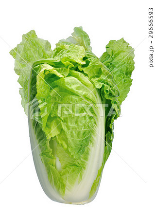 農耕 農業 製造 29666593