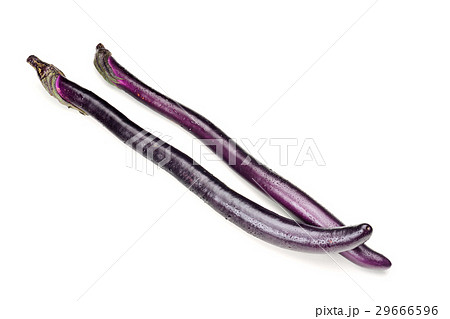 農耕 農業 農産物 29666596