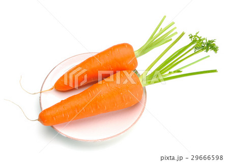 農耕 農業 製造 29666598