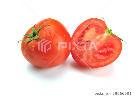 農耕 農業 製造 29666601