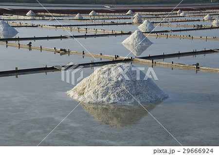 製造業 作業用 塩田 29666924
