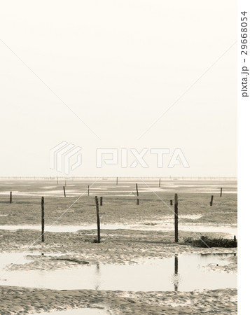 彰化 雲林 嘉義 29668054