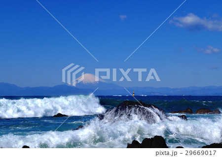 荒崎海岸に打ち寄せる大波と雪化粧した富士山 29669017