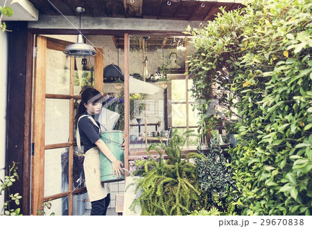 Flower Shop Store Florist Botany Bouquet Blooming 29670838