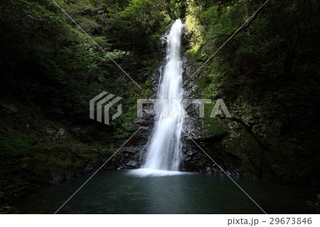 竜頭の滝 29673846