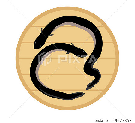 うなぎ 29677858
