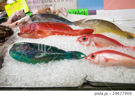 アオブダイ　熱帯魚　那覇のマーケット 29677909