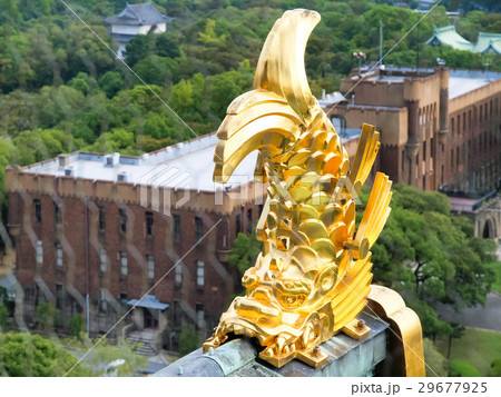 日本 ジャパン 日本国 29677925